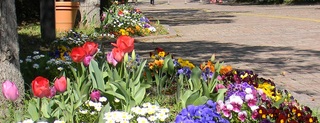 DSCN0422.JPG